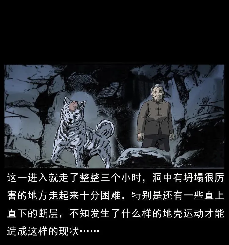 082 鬼桃树 第19页