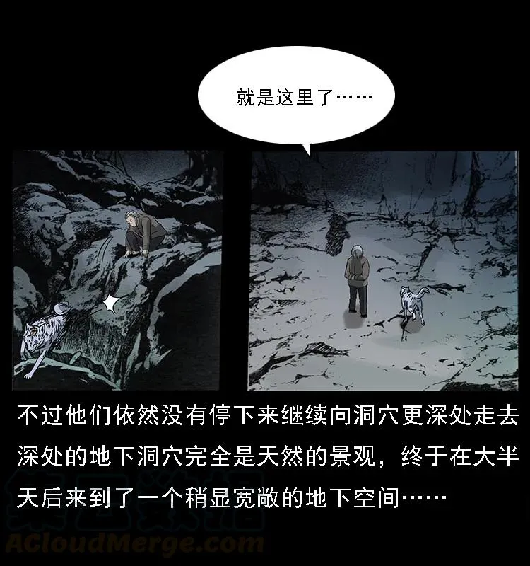082 鬼桃树 第21页