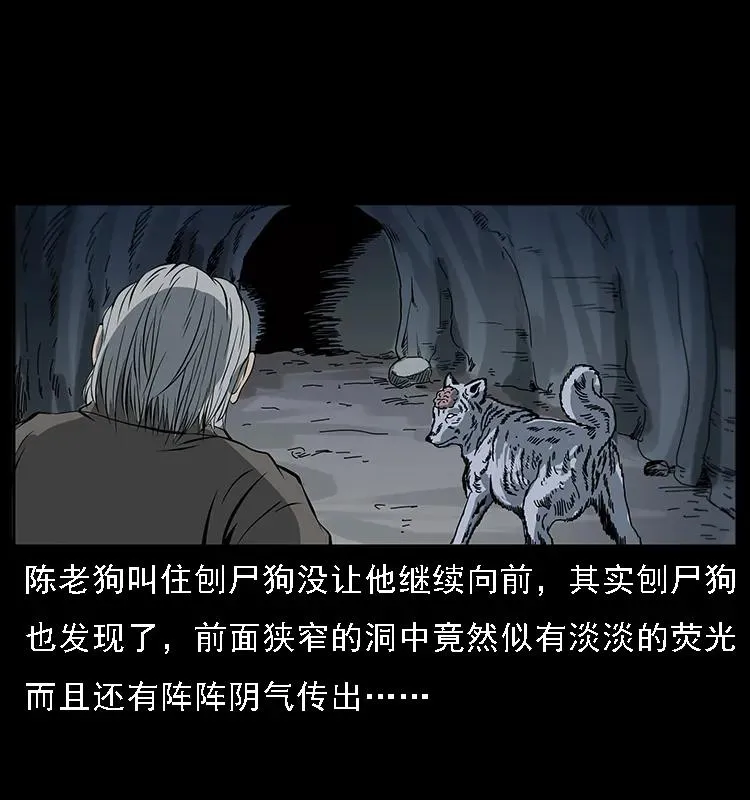 082 鬼桃树 第22页