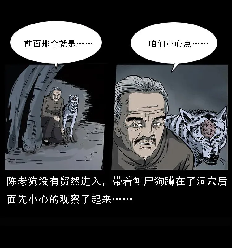 082 鬼桃树 第23页