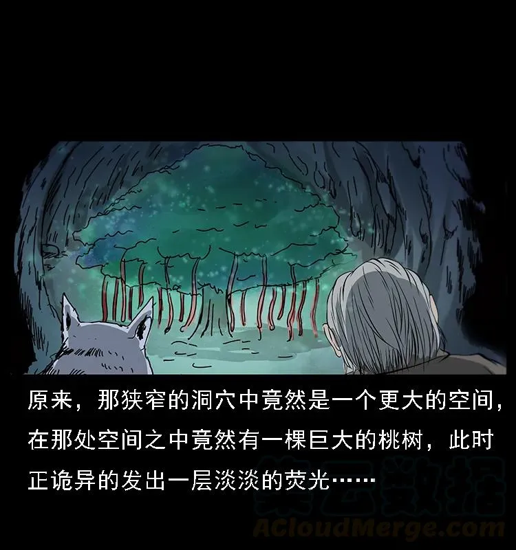 082 鬼桃树 第25页
