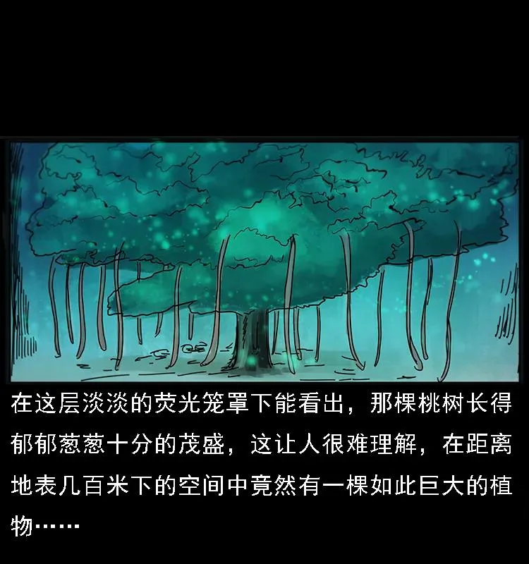 082 鬼桃树 第26页