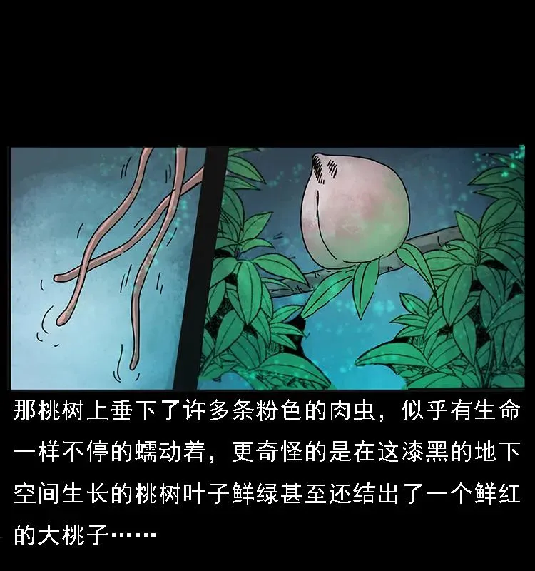082 鬼桃树 第27页