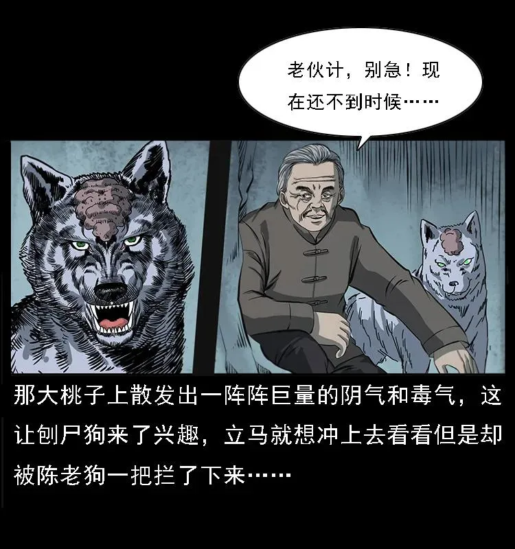 082 鬼桃树 第28页