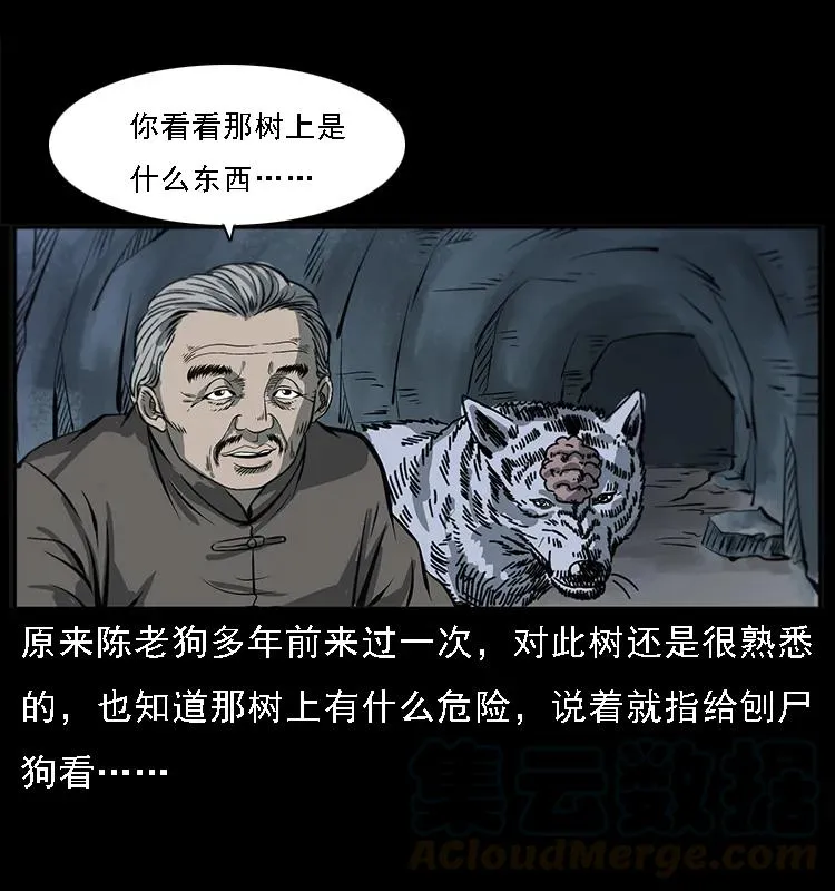 082 鬼桃树 第29页