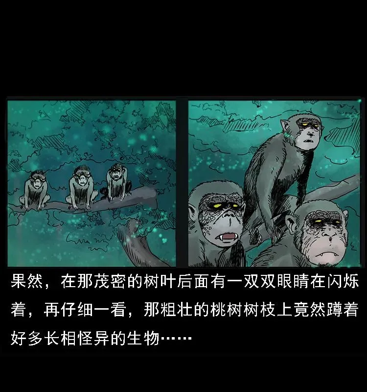 082 鬼桃树 第30页