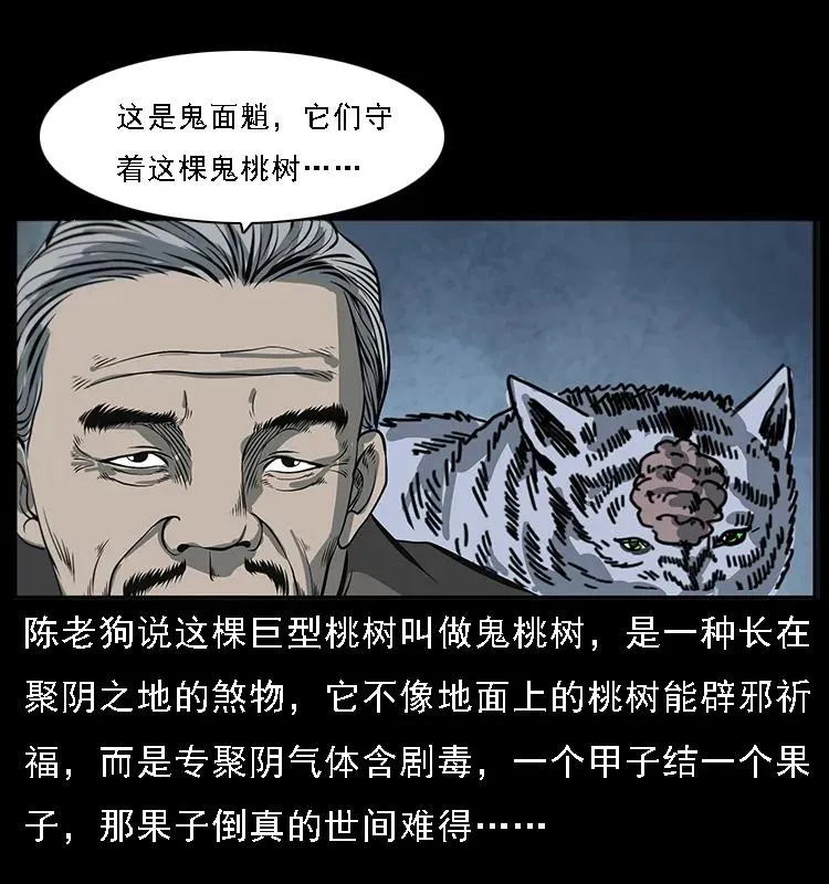 082 鬼桃树 第31页