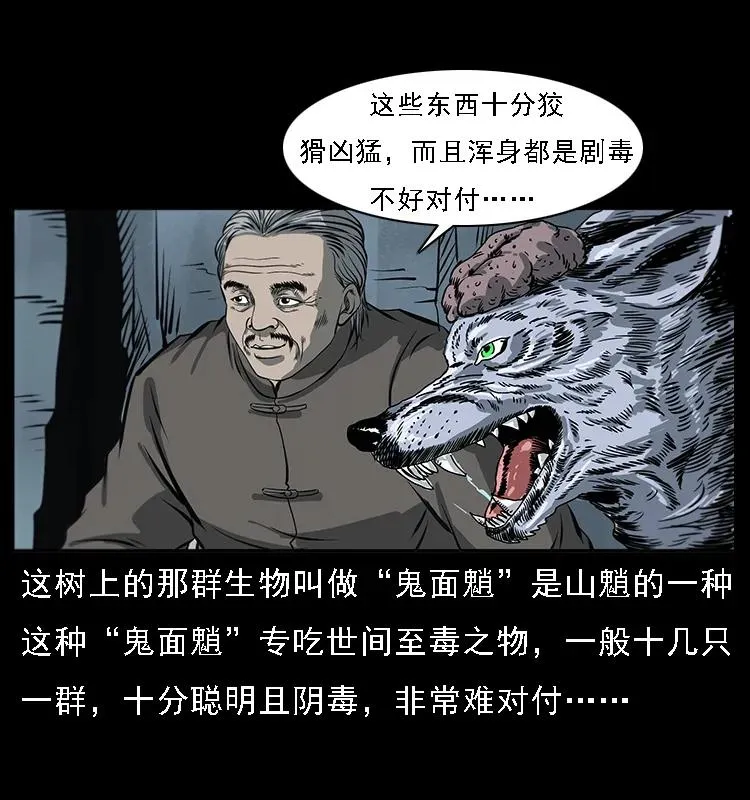 082 鬼桃树 第32页