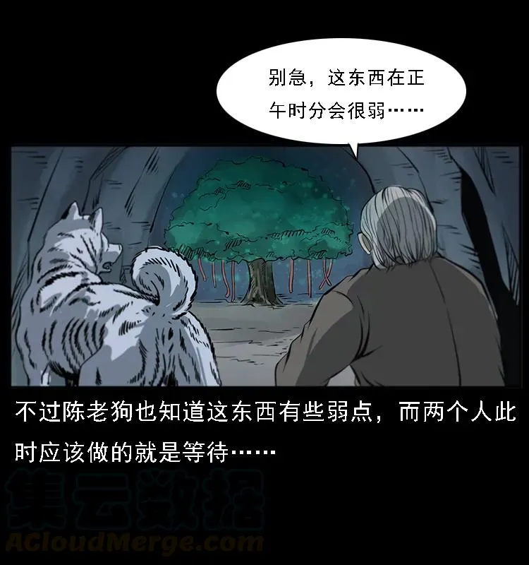 082 鬼桃树 第33页