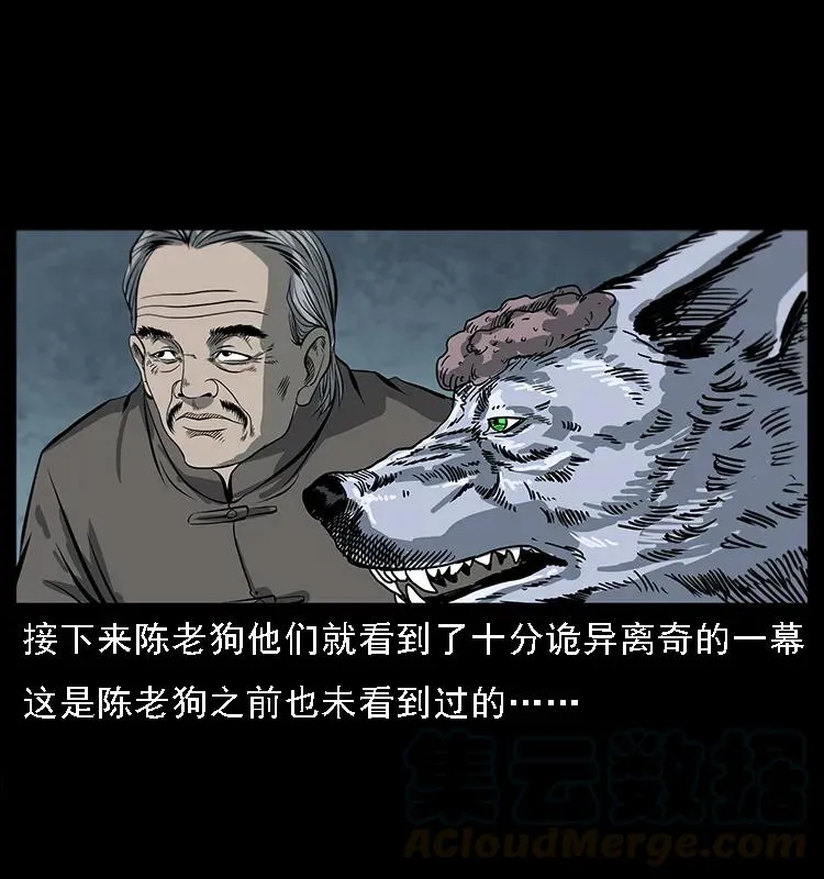 082 鬼桃树 第37页
