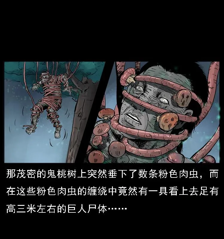 082 鬼桃树 第38页