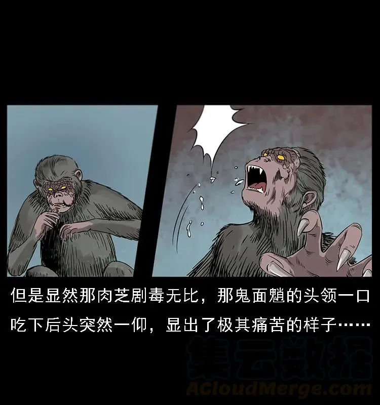082 鬼桃树 第41页