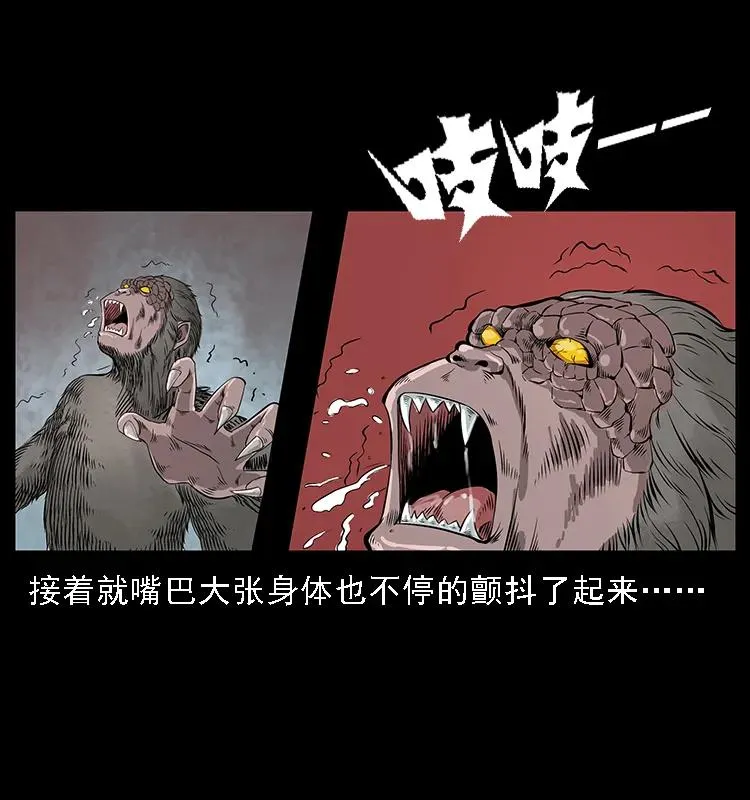 082 鬼桃树 第42页