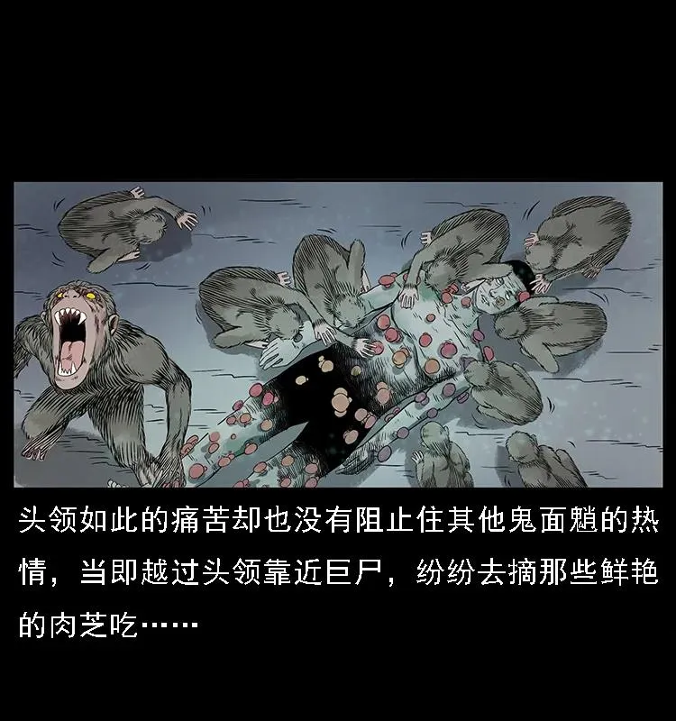082 鬼桃树 第43页