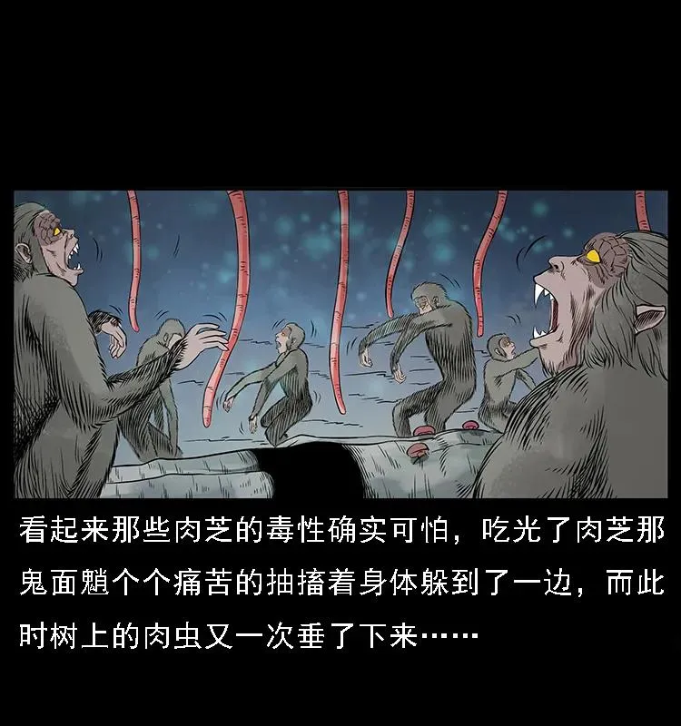 082 鬼桃树 第44页