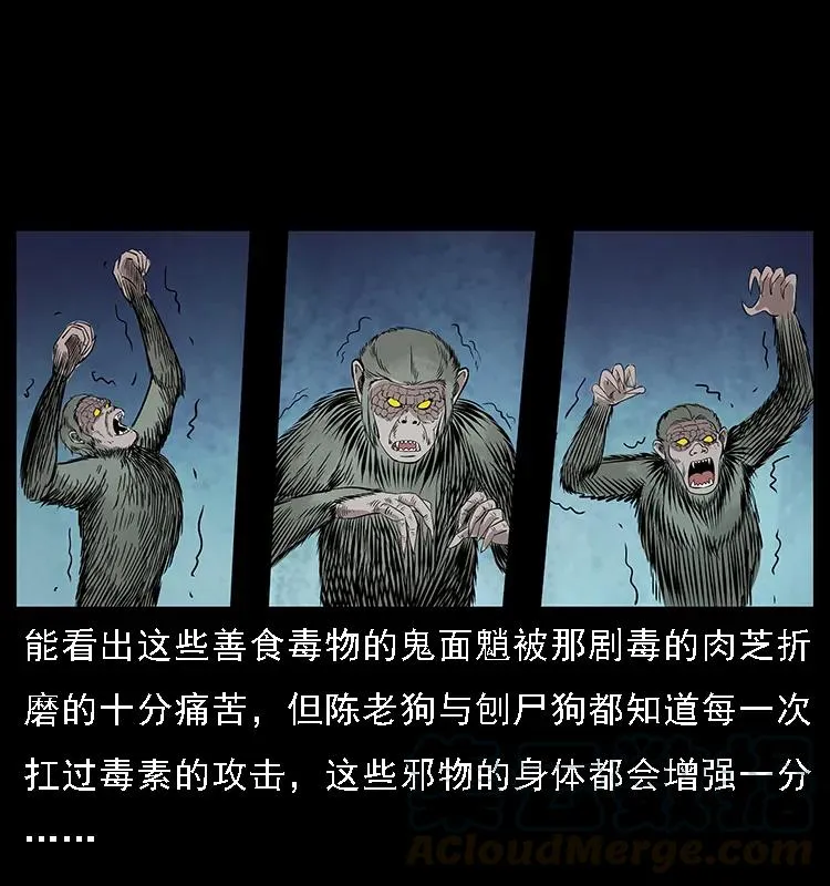 082 鬼桃树 第45页