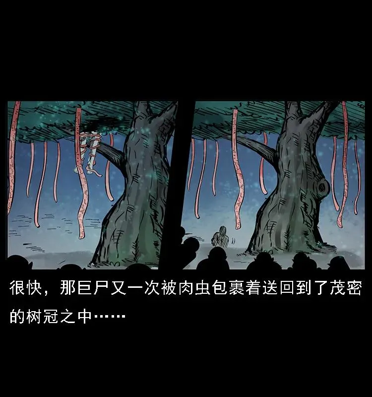 082 鬼桃树 第47页