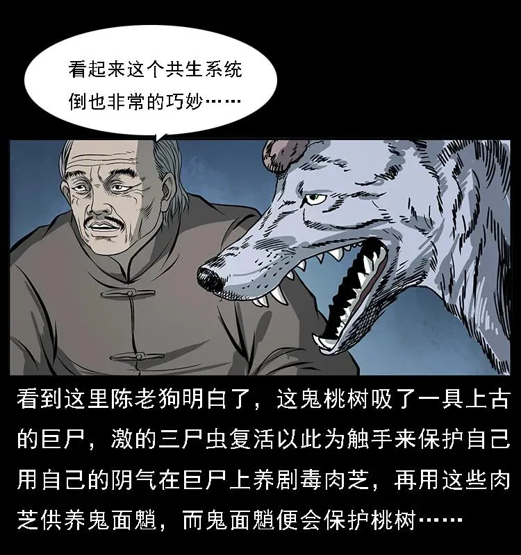 082 鬼桃树 第48页