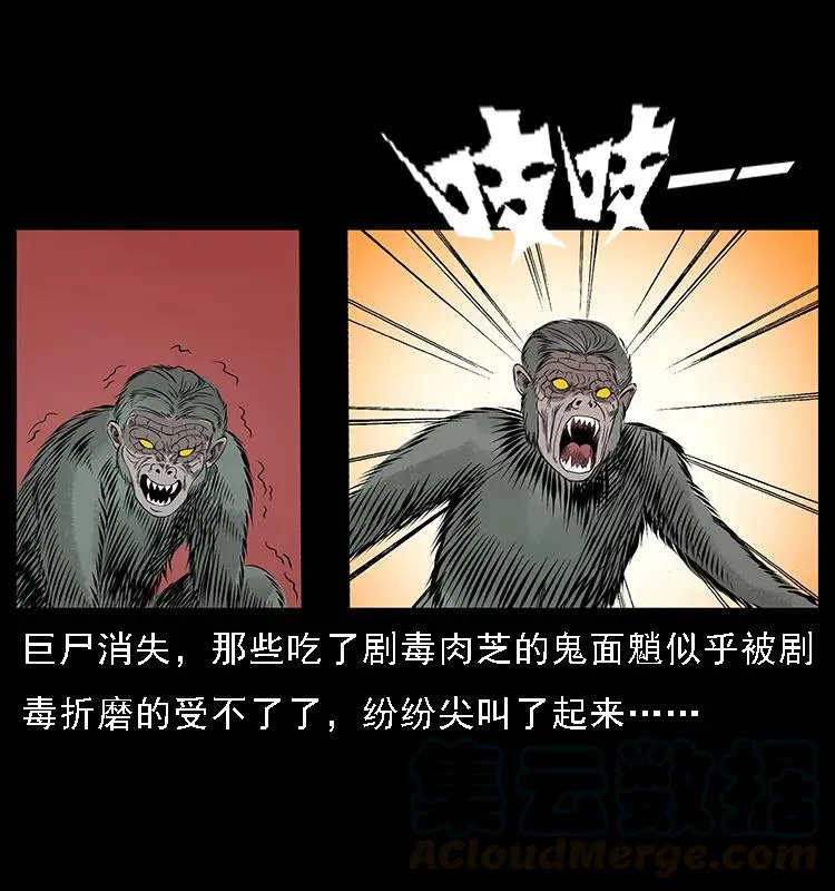 082 鬼桃树 第49页