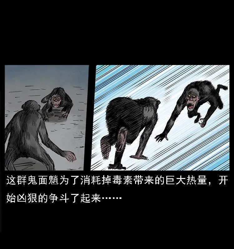 082 鬼桃树 第51页