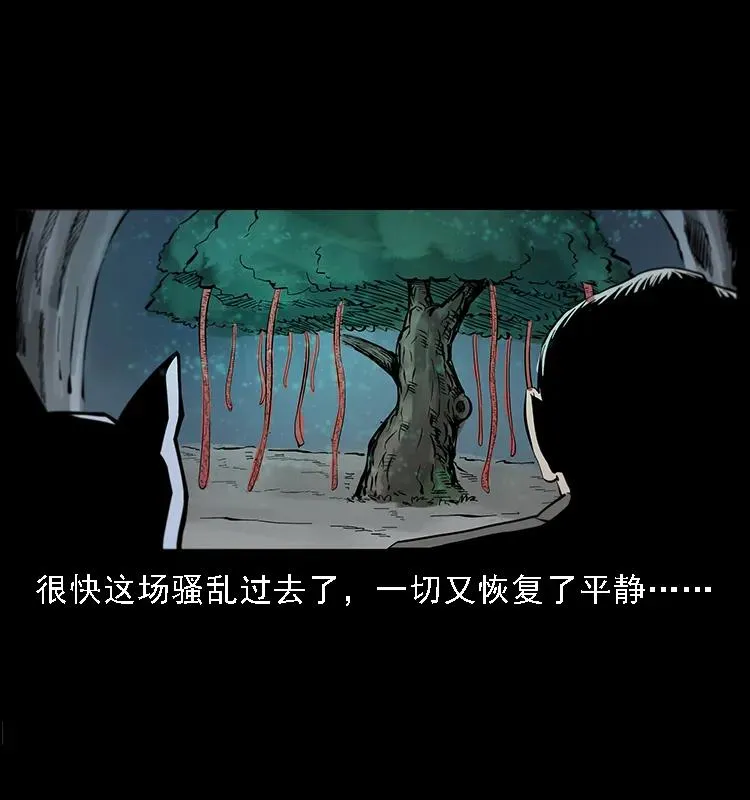 082 鬼桃树 第56页