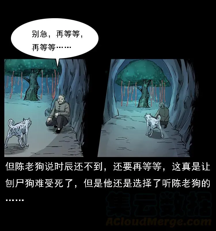082 鬼桃树 第57页