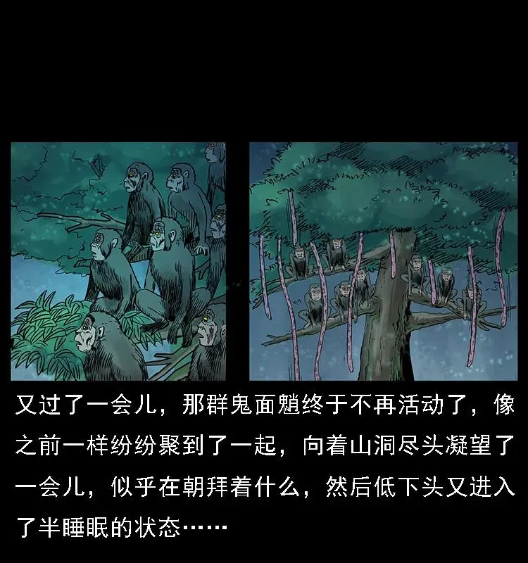 082 鬼桃树 第60页