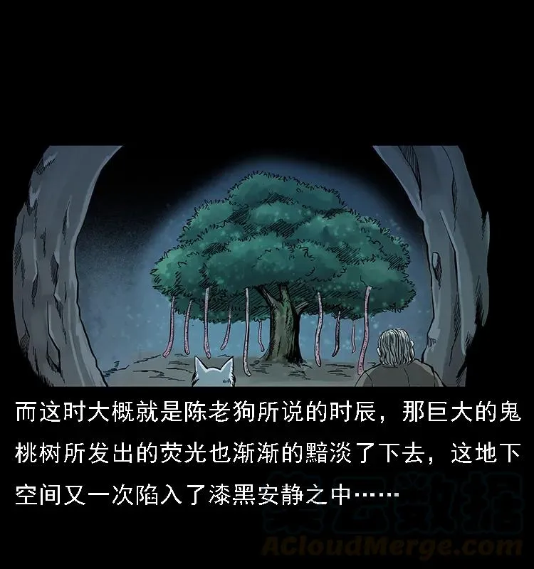 082 鬼桃树 第61页