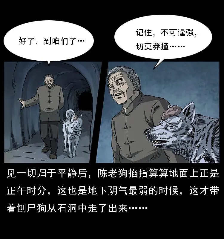 082 鬼桃树 第62页