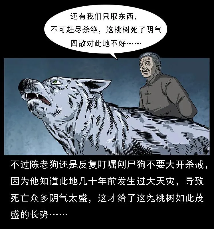 082 鬼桃树 第63页