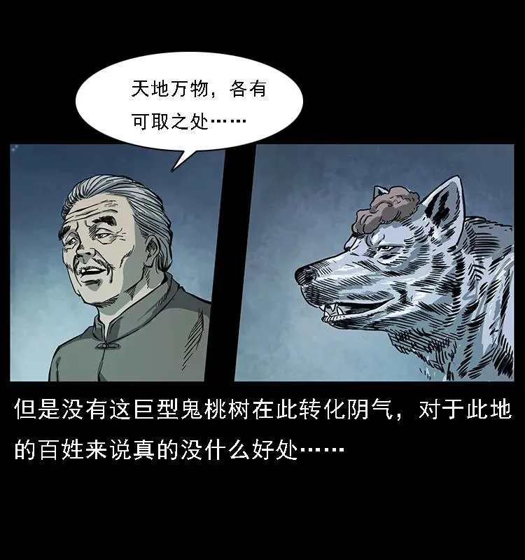 082 鬼桃树 第64页