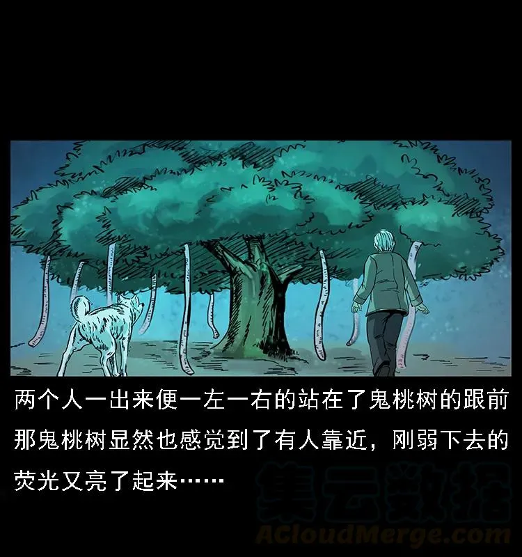 082 鬼桃树 第65页