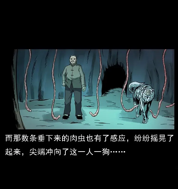 082 鬼桃树 第66页