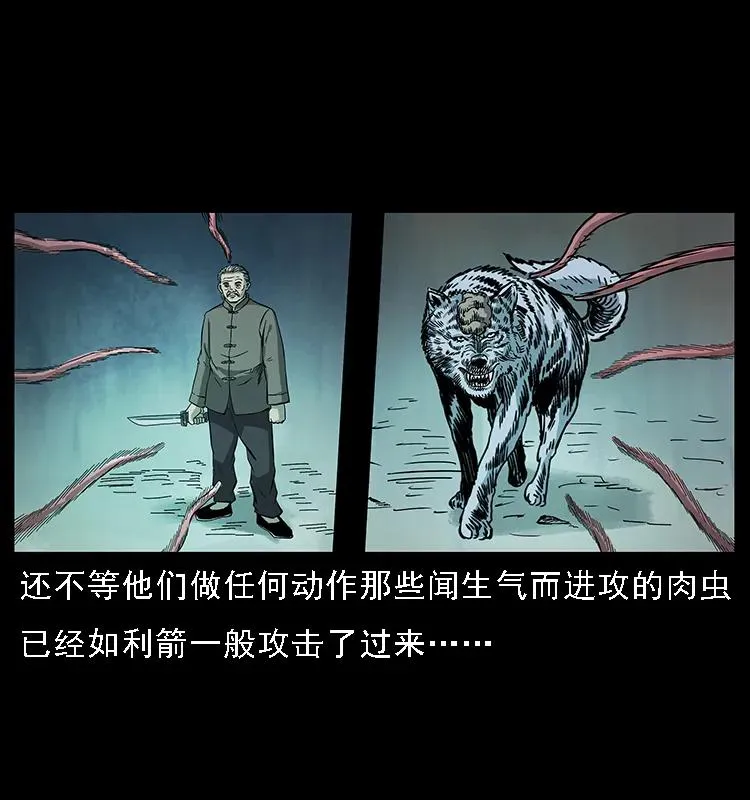 082 鬼桃树 第67页