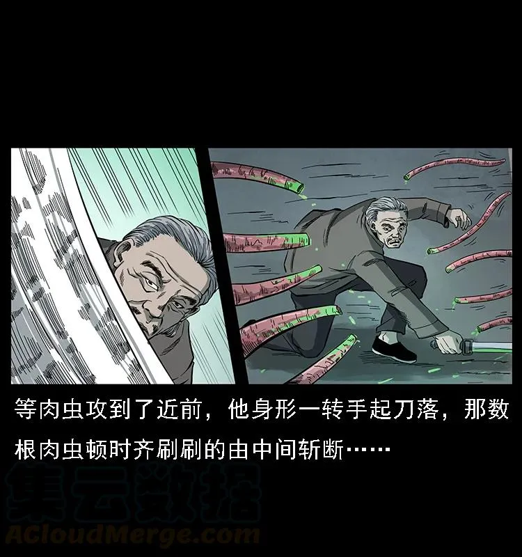 082 鬼桃树 第69页