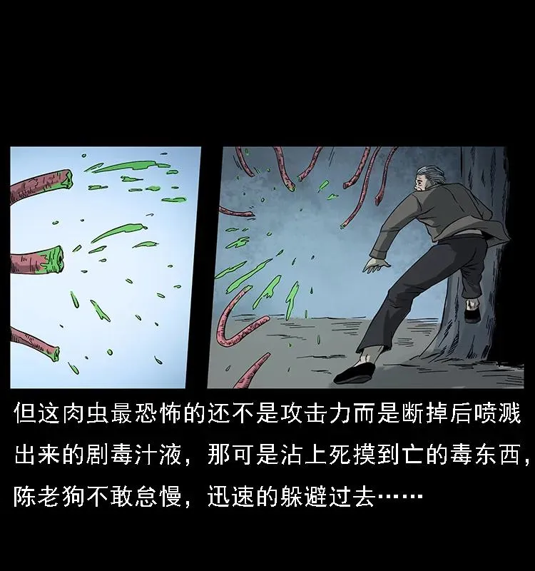 082 鬼桃树 第70页