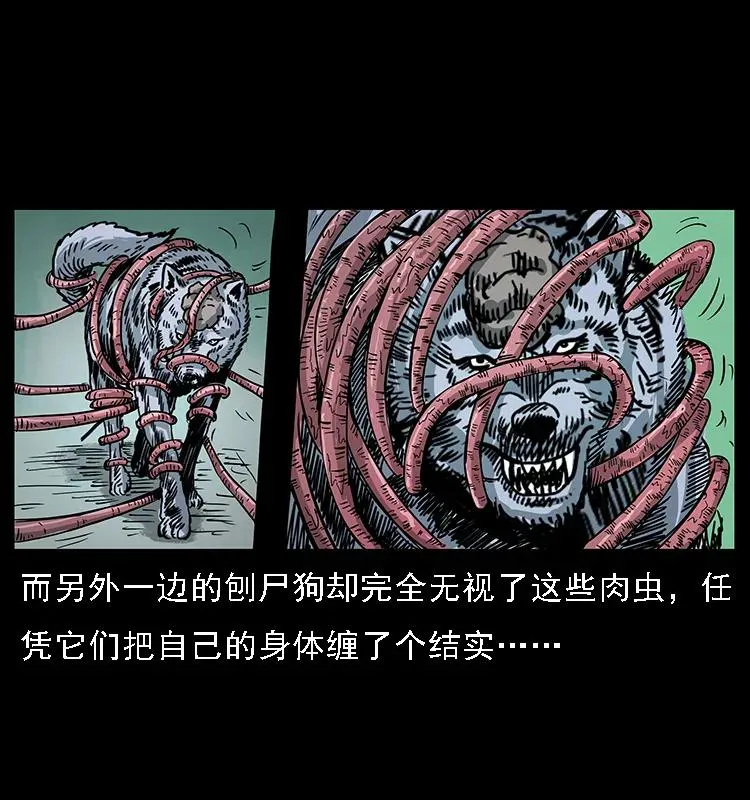 082 鬼桃树 第71页