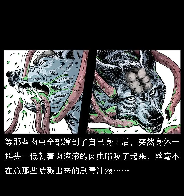 082 鬼桃树 第72页