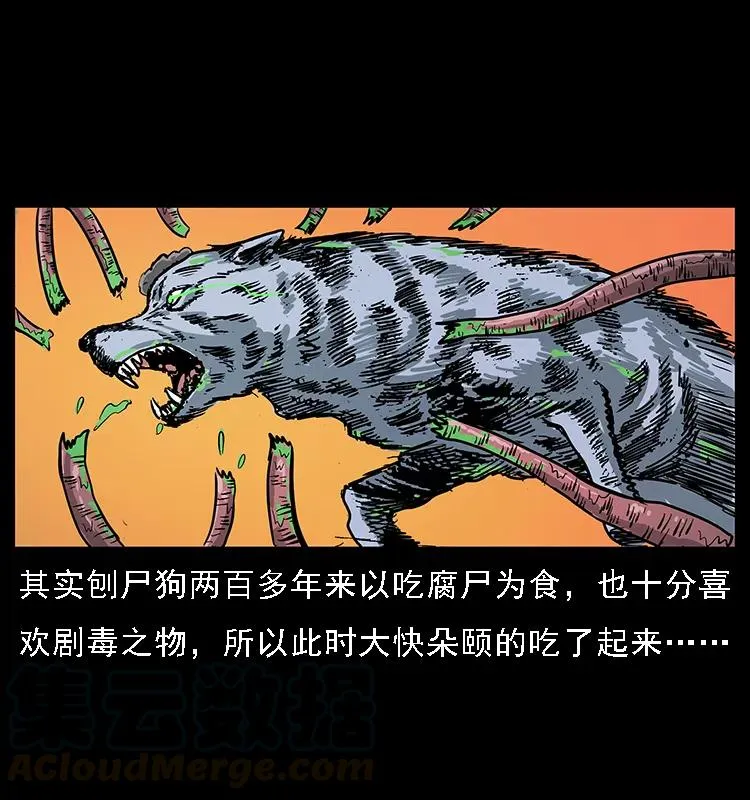 082 鬼桃树 第73页