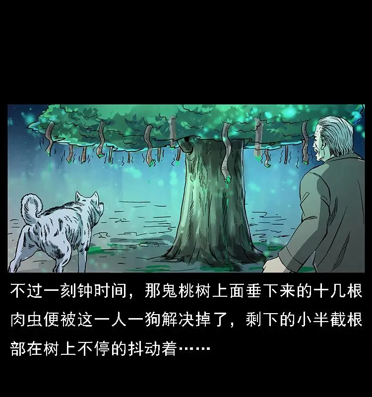 082 鬼桃树 第74页