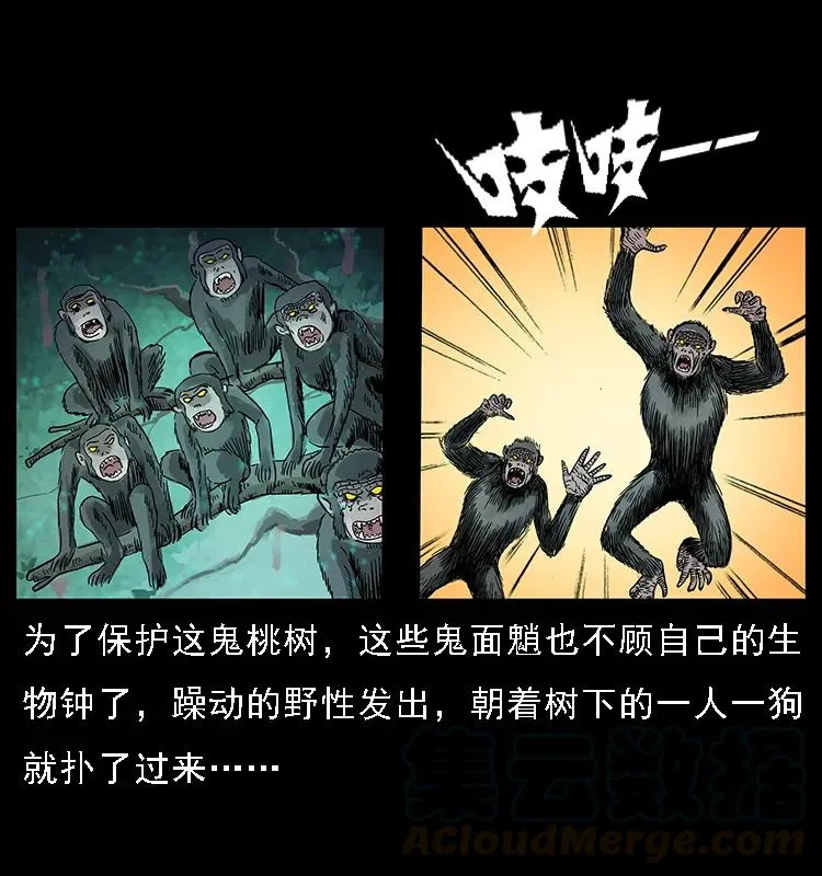 082 鬼桃树 第77页