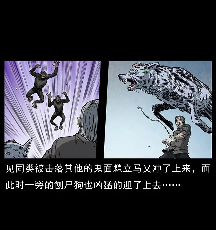 083 鬼面魈 第12页