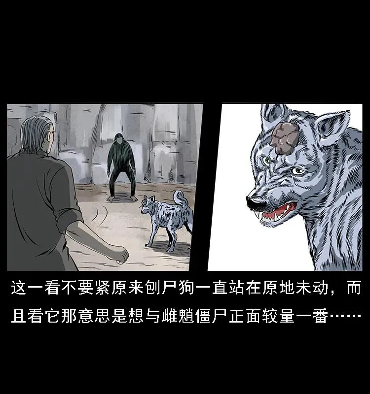 083 鬼面魈 第40页