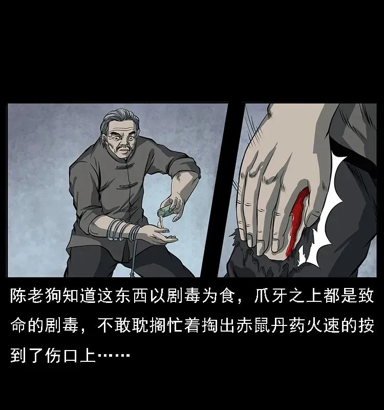 083 鬼面魈 第47页