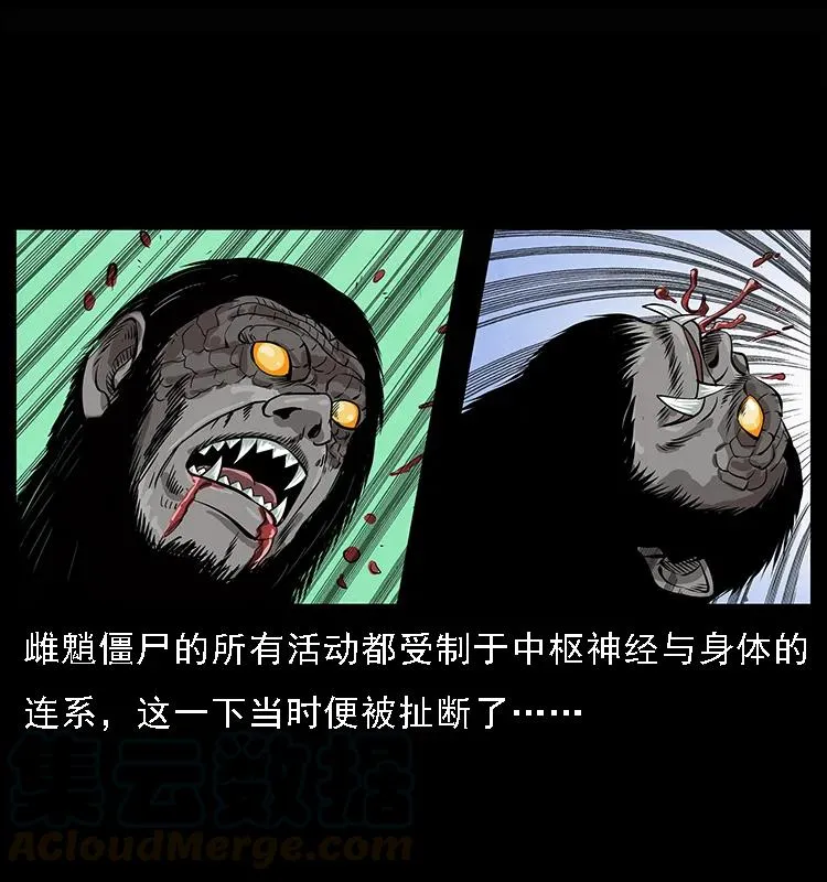 083 鬼面魈 第65页