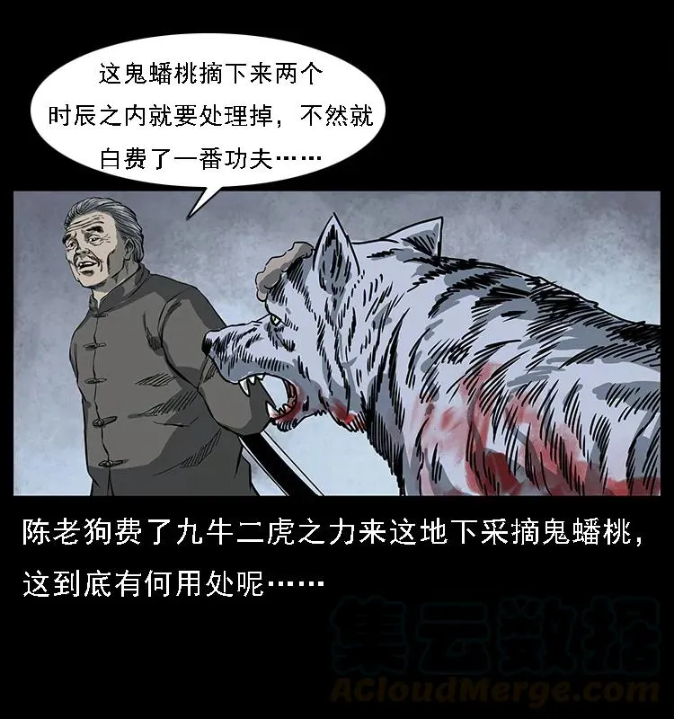 083 鬼面魈 第81页
