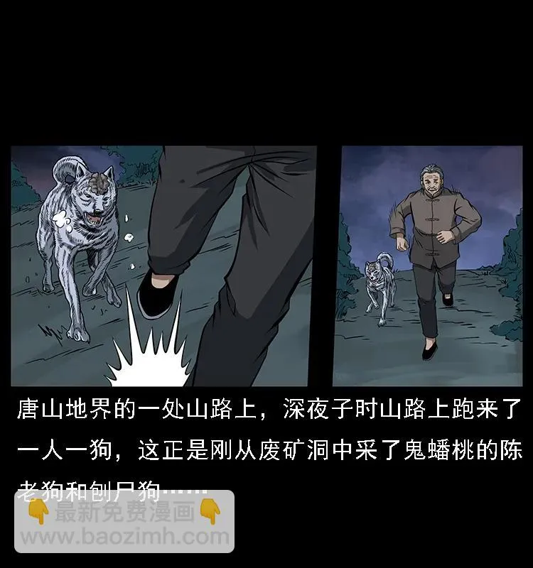 084 刨尸狗的妖化之路 第2页