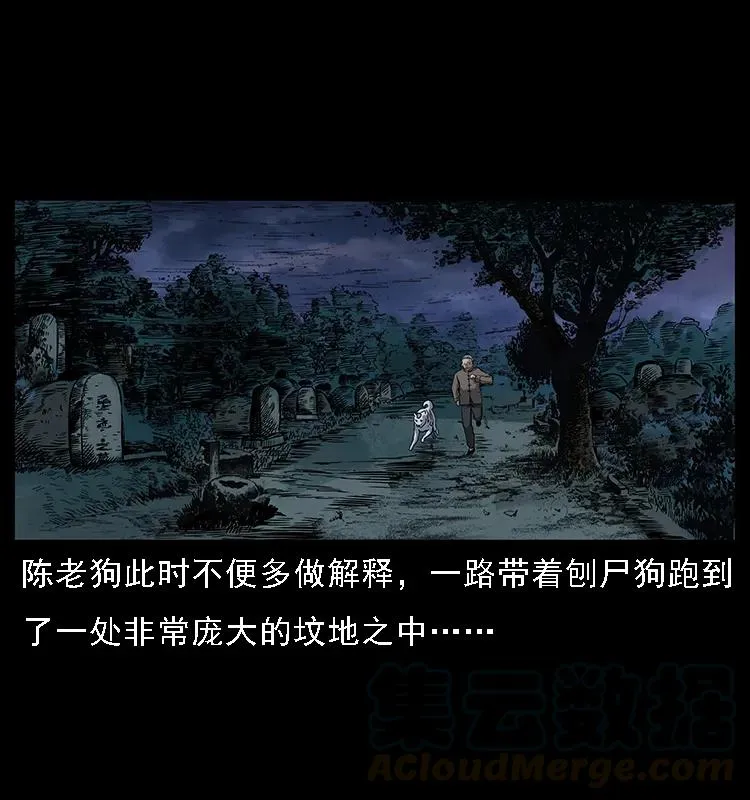 084 刨尸狗的妖化之路 第5页