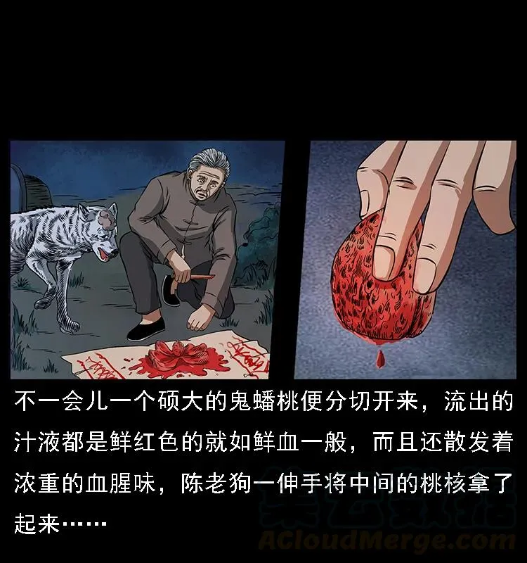 084 刨尸狗的妖化之路 第17页