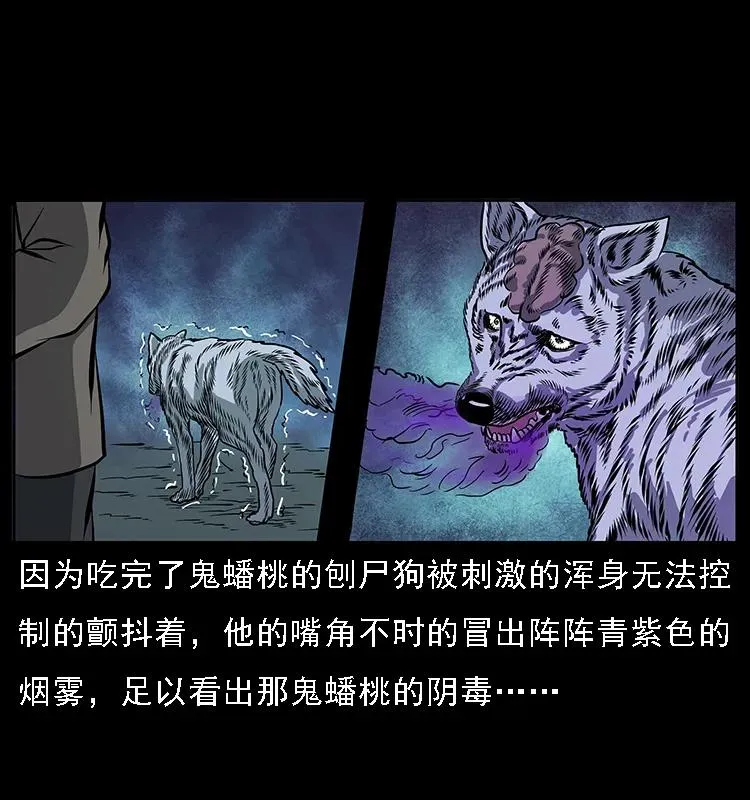 084 刨尸狗的妖化之路 第23页